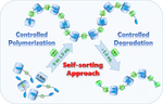 Supramolecular polymerization promoted and controlled through self-sorting