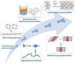 Supramolecular polymerization from controllable fabrication to living polymerization (invited feature article)