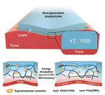 Tissue-mimetic supramolecular polymer networks for bioelectronics