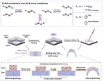 Ultrafast Programming of Large Curvature Based on Selenium-Sulfur Dynamic Metathesis