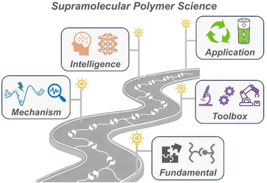 Fundamental Questions and Grand Challenges in Advancing Supramolecular Polymer Science