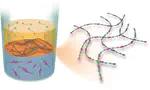 Supramolecular interfacial polymerization: a controllable method of fabricating supramolecular polymeric materials