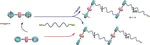 Supramolecular polymerization controlled through kinetic trapping