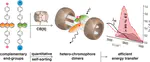 Quantitative supramolecular heterodimerization for efficient energy transfer