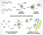 On-resin recognition of aromatic oligopeptides and proteins through host-enhanced heterodimerization