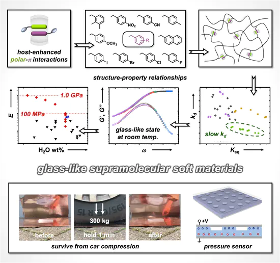 Highly compressible glass-like supramolecular polymer networks