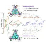 Enantiopure FeII4L4 cages bind steroids stereoselectively