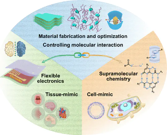 Advancing flexible sensors through on-demand regulation of supramolecular nanostructures