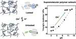 Kinetic Locking of pH-Sensitive Complexes for Mechanically Responsive Polymer Networks