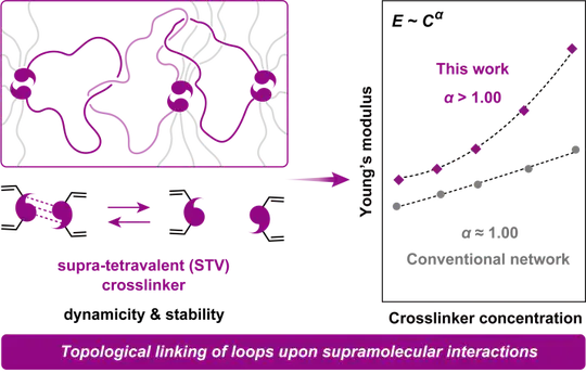 Stiffness Reinforcement in Polymer Networks Through Supramolecular Topological Linking