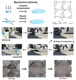 Biaxially ductile supramolecular polymer networks