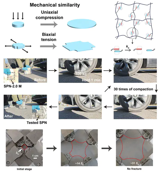 Biaxially ductile supramolecular polymer networks